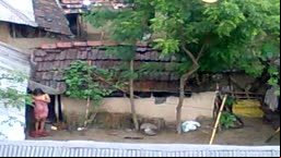 Poor Village Girl Has no Bathroom